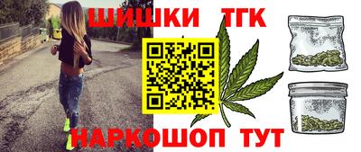 индика Гай