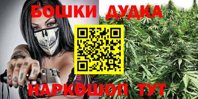 индика Гай