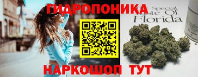 индика Гай