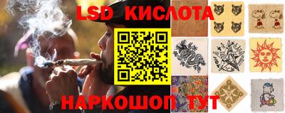 индика Гай