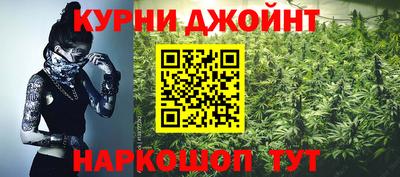 индика Гай