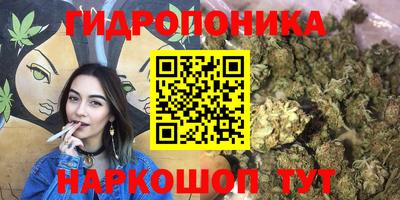 индика Гай