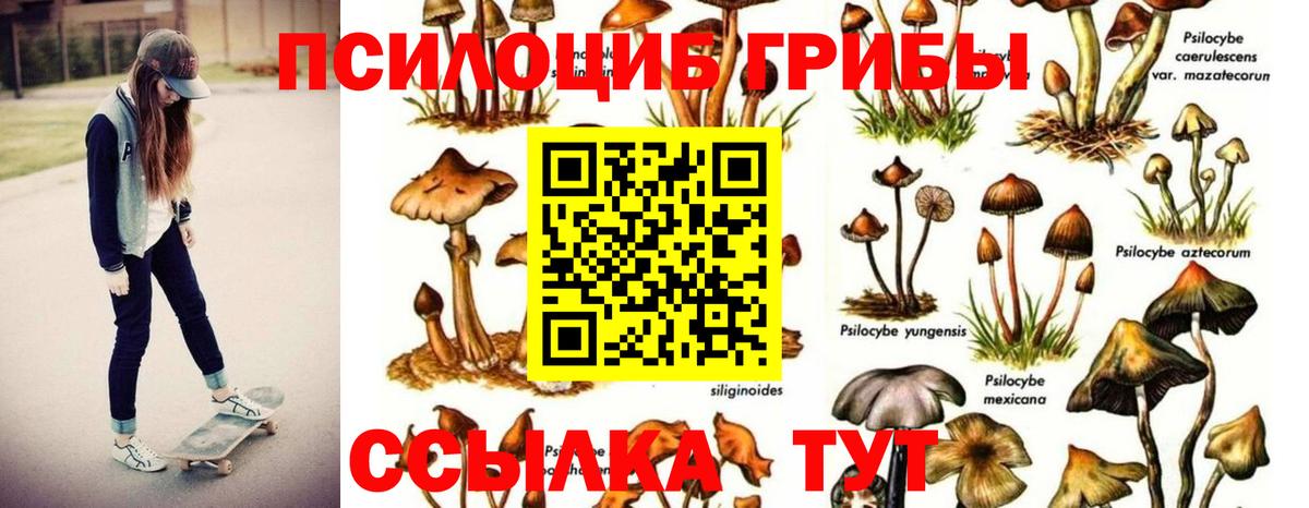 МЕФ  Ляпка  Конопля  Кокаин  МДМА  Михайловск  А ПВП  Вход с VPN 