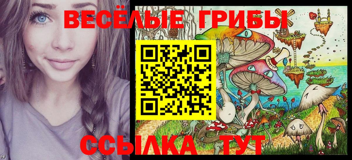 Галлюциногенные грибы GOLDEN TEACHER Михайловск