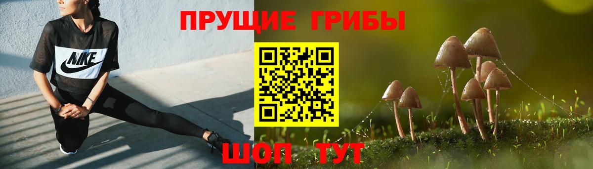 Михайловск  Псилоцибиновые грибы Cubensis  где продают наркотики  Вход с VPN  Псилоцибиновые грибы прущие грибы 